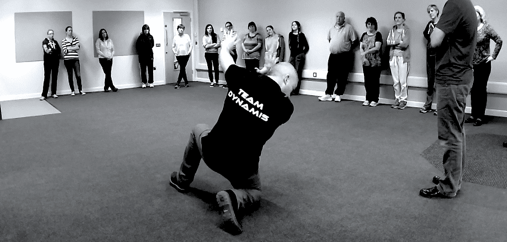 Course Photo: Instinctive Protection Positive Handling Training